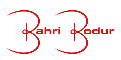 Bahri BODUR